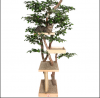 Cat Tree.png