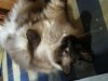 20130215_144810.jpg