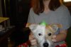 Picture 001.jpg