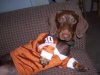2011 088.jpg