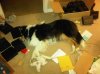 IMG-20120202-00246.jpg