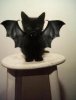 catbat.jpg