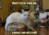 on a roll.jpg