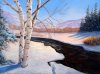 birch in snow.jpg