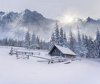 winter scene5.jpg