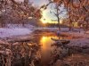 Snowy morn.jpg