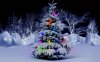 xmas tree.jpg
