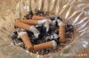 11_49_5---Cigarette-Ash-Tray_web.jpg