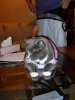 Dexter Dress up.jpg