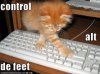 funny-pictures-cat-uses-the-keyboard-for-evil.jpg