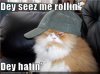 rollin.jpg