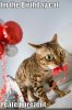 imthebirthday128507319705781250.jpg