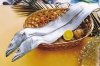 ribbon-fish2.jpg