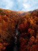 akron__ohio_in_the_fall_by_scott41677.jpg