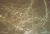 nazca.jpg