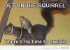 ImageUploadedByTapatalk1330367058.749646.jpg