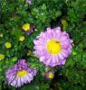 20111129_072221.jpg