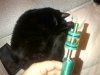 IMG-20120303-00024.jpg