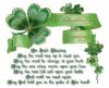 st-patricks-day-060.jpg