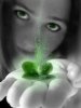 stpattysday1.jpg