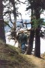 1 me in the trees.jpg