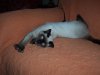 000_1267.jpg