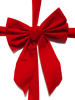 50-450-600-big_red_bow_gift_wrapped-0_0_450_600.png