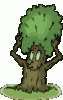 tree-with-face.gif