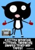 Hip hop kitten.jpg