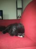 tobysleep.jpg