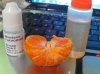mandarin Vz 001.jpg