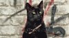 cat_filing1-4.jpg