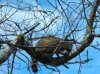DSCN0616.jpg