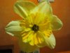2012-03-27 21.10.18.jpg