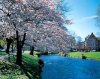 Spring.jpg