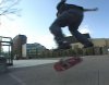 springflip.jpg