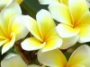 53024-renew_the_self_easter_wallpaper_desktop_themes___wallpaper.jpeg