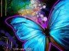 Abstract_Butterfly.jpg