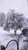 IMG_20160216_092050.jpg