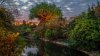 tree-of-life-00.jpg