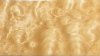 Quilted Bigleaf Maple.jpg