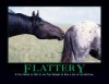 flattery.jpg