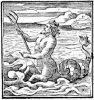 Proteus-Alciato.jpg