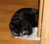 DSC01719.jpg