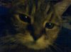 Cary-20110804-00022.jpg