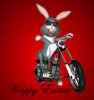 bunny-E.jpg