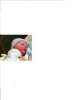 Caden is Here.jpg