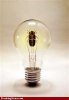 bug bulb.jpg