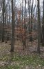 IMG_20160401_201125.jpg