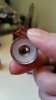 20160402_120844_resized.jpg